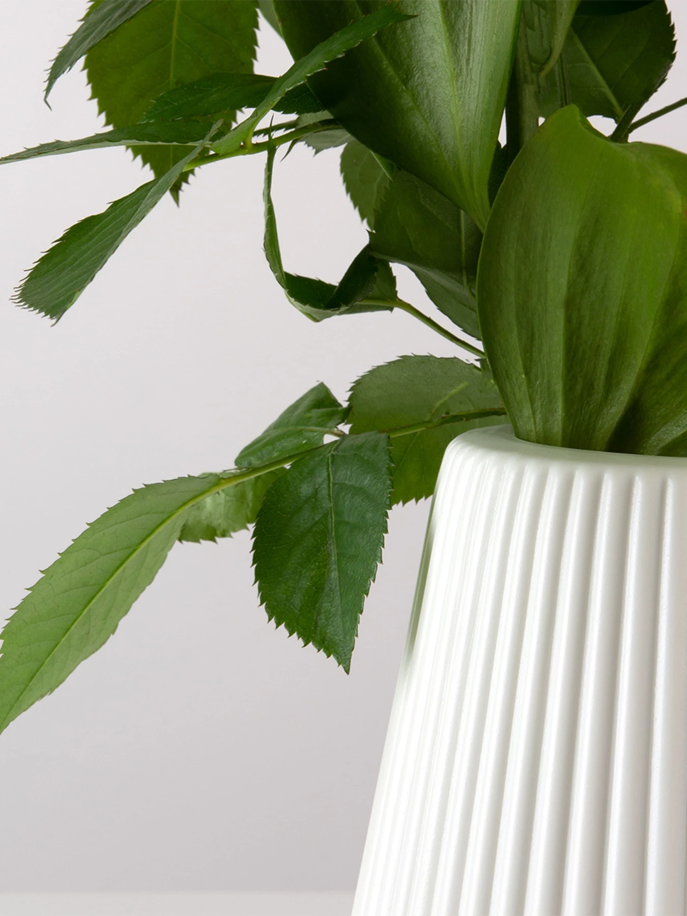 Ваза для цветов пластиковая белая MBM HOME модель DH-FLOWERS-04 WHITE Ваза для цветов пластиковая белая MBM HOME модель DH-FLOWERS-04 WHITE Фото