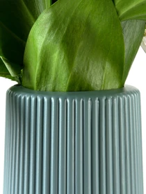 Ваза для цветов пластиковая голубая MBM HOME модель DH-FLOWERS-05 BLUE Фото