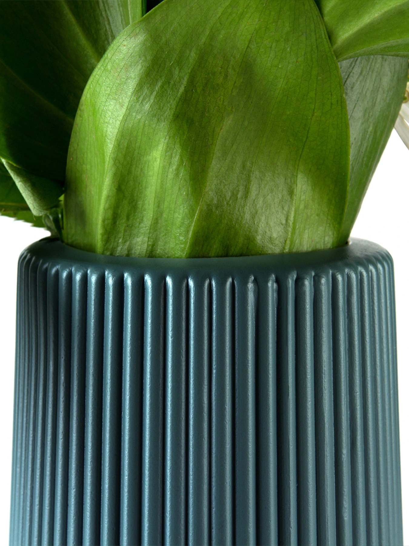 Ваза для цветов пластиковая синяя MBM HOME модель DH-FLOWERS-05 DARK BLUE Ваза для цветов пластиковая синяя MBM HOME модель DH-FLOWERS-05 DARK BLUE Фото