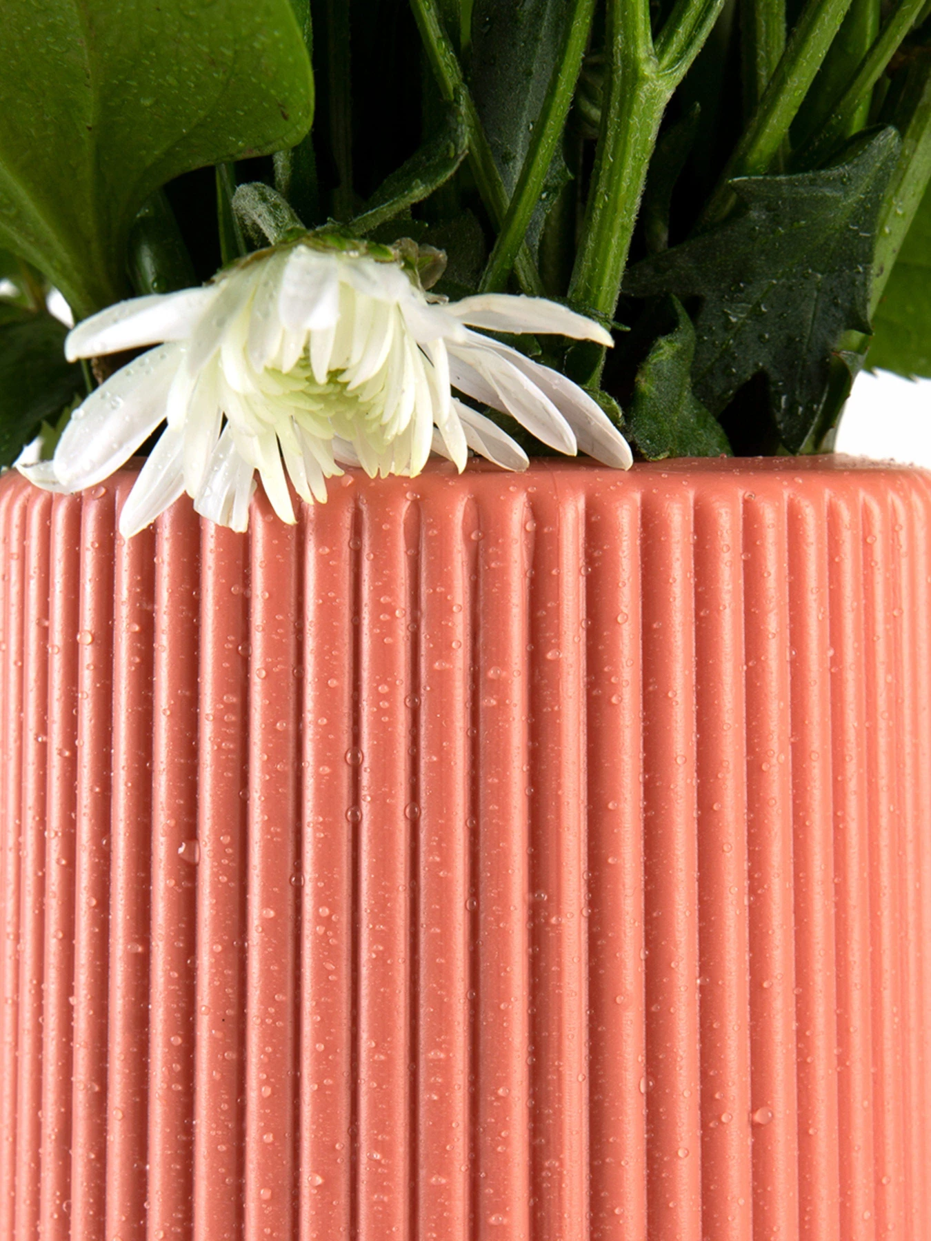 Ваза для цветов пластиковая коралловая MBM HOME модель DH-FLOWERS-05 CORAL Ваза для цветов пластиковая коралловая MBM HOME модель DH-FLOWERS-05 CORAL Фото