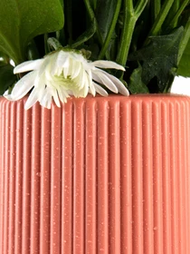 Ваза для цветов пластиковая коралловая MBM HOME модель DH-FLOWERS-05 CORAL Фото