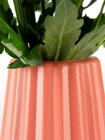 Ваза для цветов пластиковая коралловая MBM HOME модель DH-FLOWERS-06 CORAL Фото