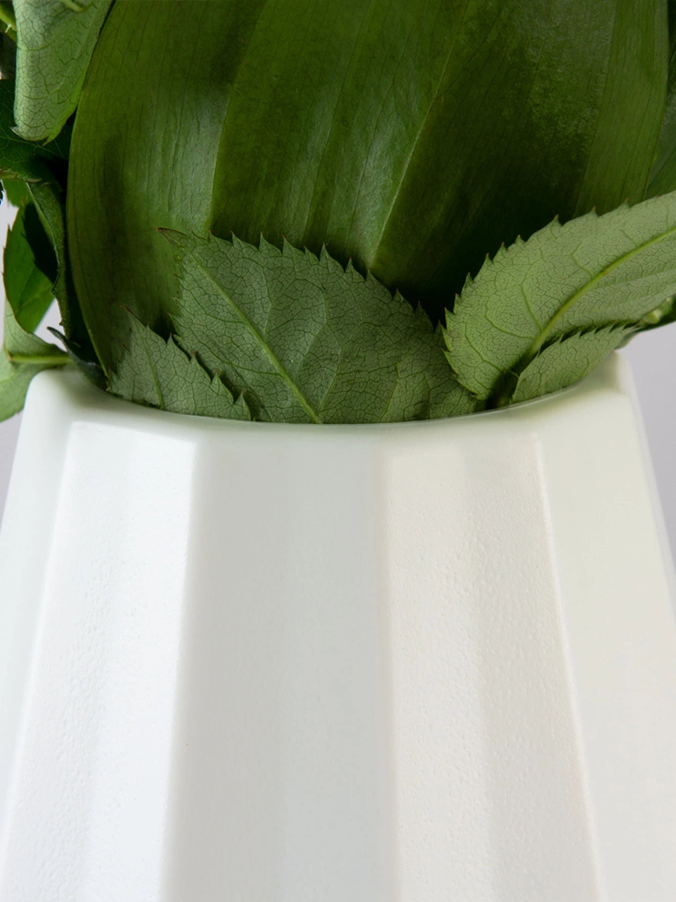 Ваза для цветов пластиковая белая MBM HOME модель DH-FLOWERS-07 WHITE Ваза для цветов пластиковая белая MBM HOME модель DH-FLOWERS-07 WHITE Фото