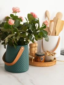Ваза для цветов с ручкой пластиковая аквамариновая MBM HOME модель DH-FLOWERS-10 MARINE BLUE Фото