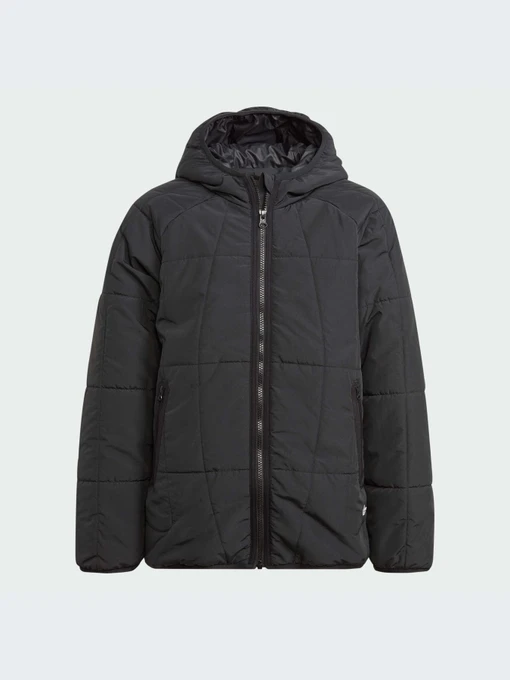 Куртки та дублянки Adidas Adventure модель IL5005 Фото