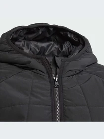 Куртки и дубленки Adidas Adventure модель IL5005 Фото