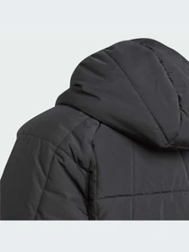 Куртки и дубленки Adidas Adventure модель IL5005 Фото
