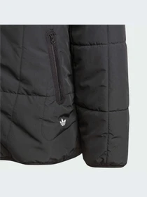 Куртки и дубленки Adidas Adventure модель IL5005 Фото