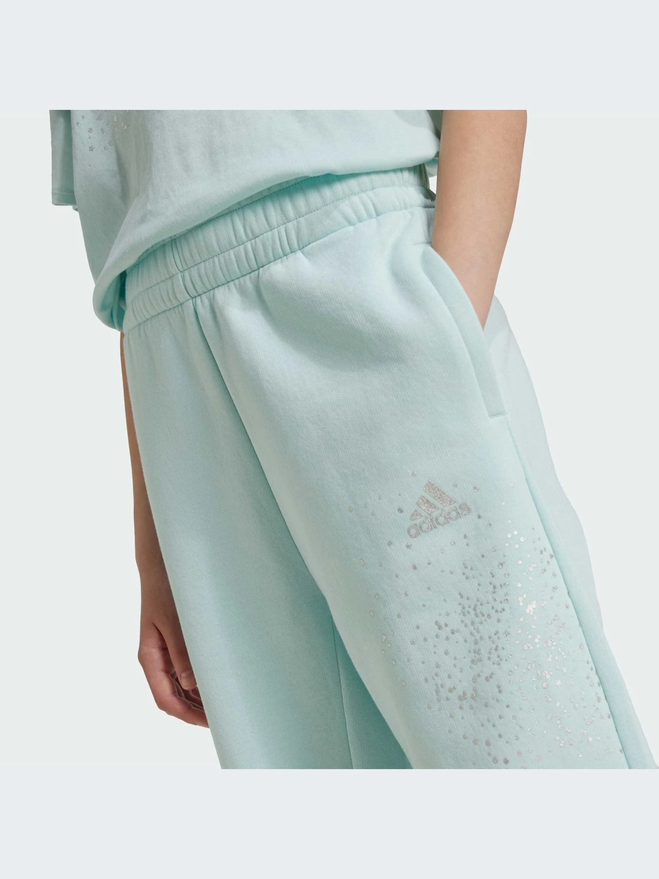 Брюки Adidas модель IV9431 Брюки Adidas модель IV9431 Фото