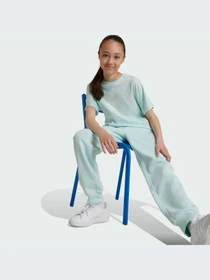 Брюки Adidas модель IV9431 Фото