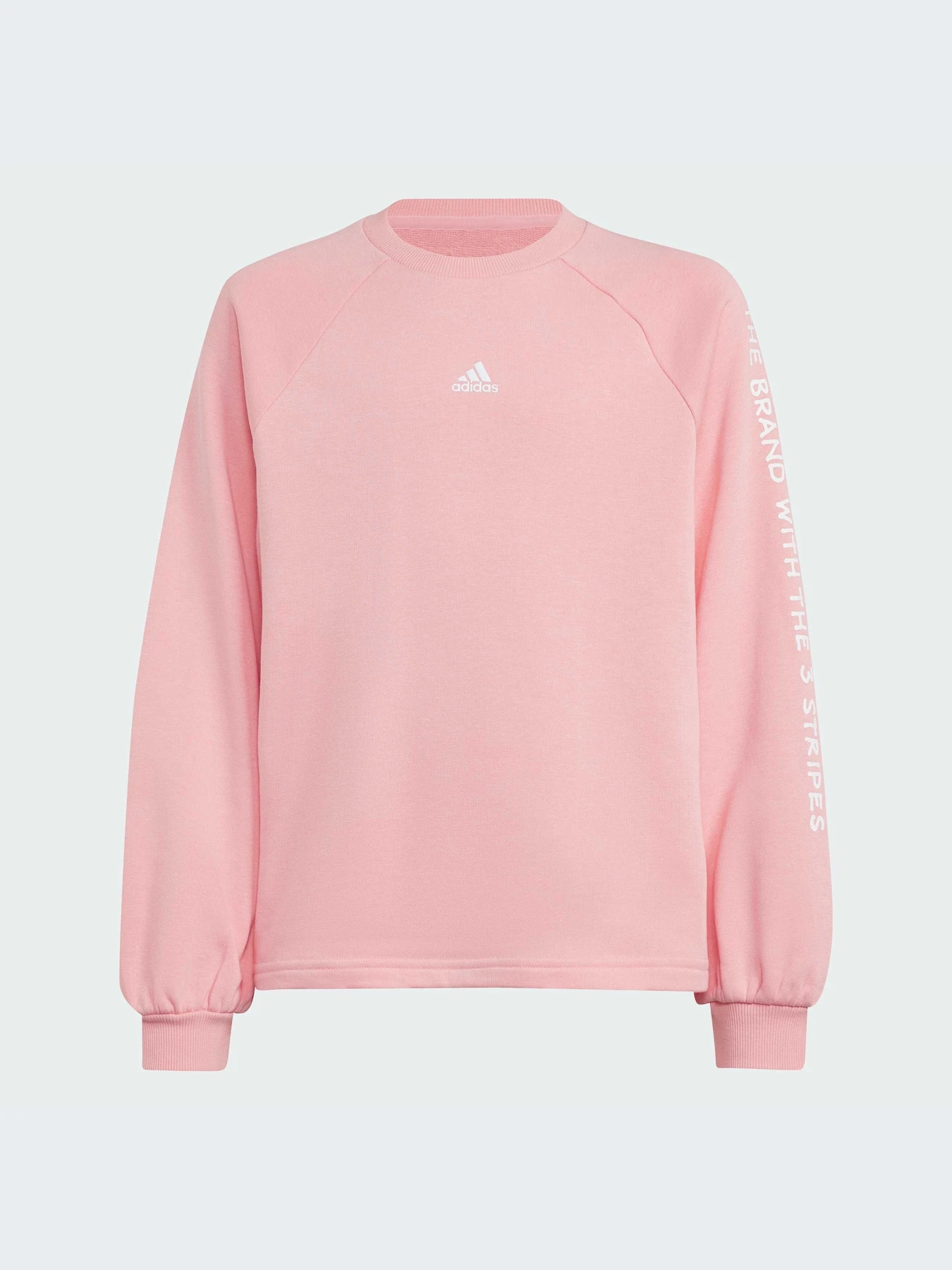 Худи и свитшоты Adidas модель IV7044 Фото