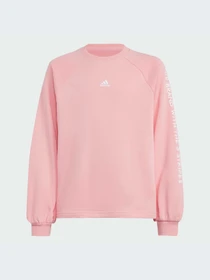 Худи и свитшоты Adidas модель IV7044 Фото