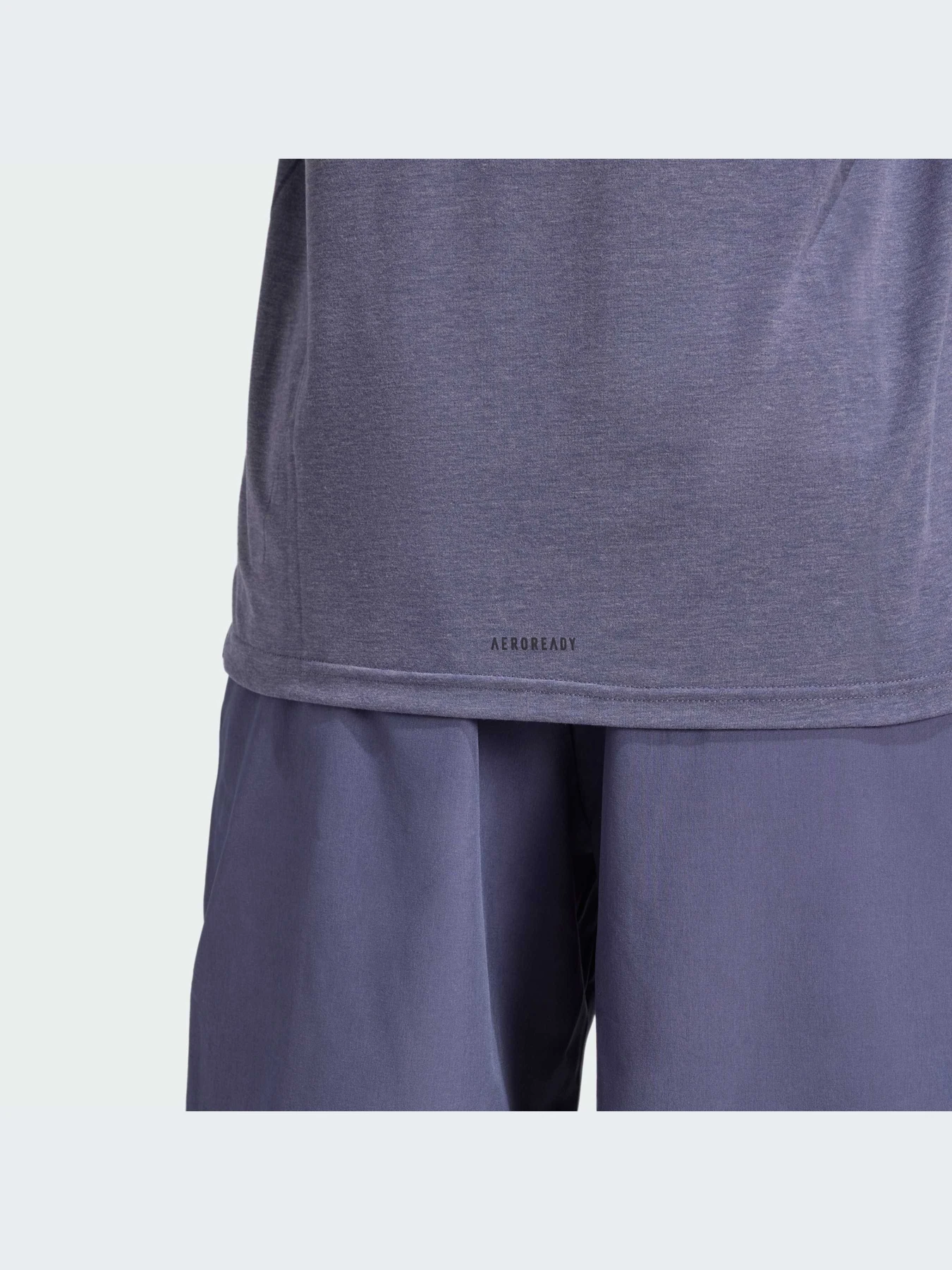 Футболки и поло Adidas Clima модель IX9151 Футболки и поло Adidas Clima модель IX9151 Фото