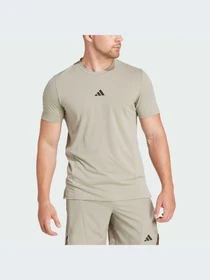 Футболки і поло Adidas Clima модель IS3817 Фото