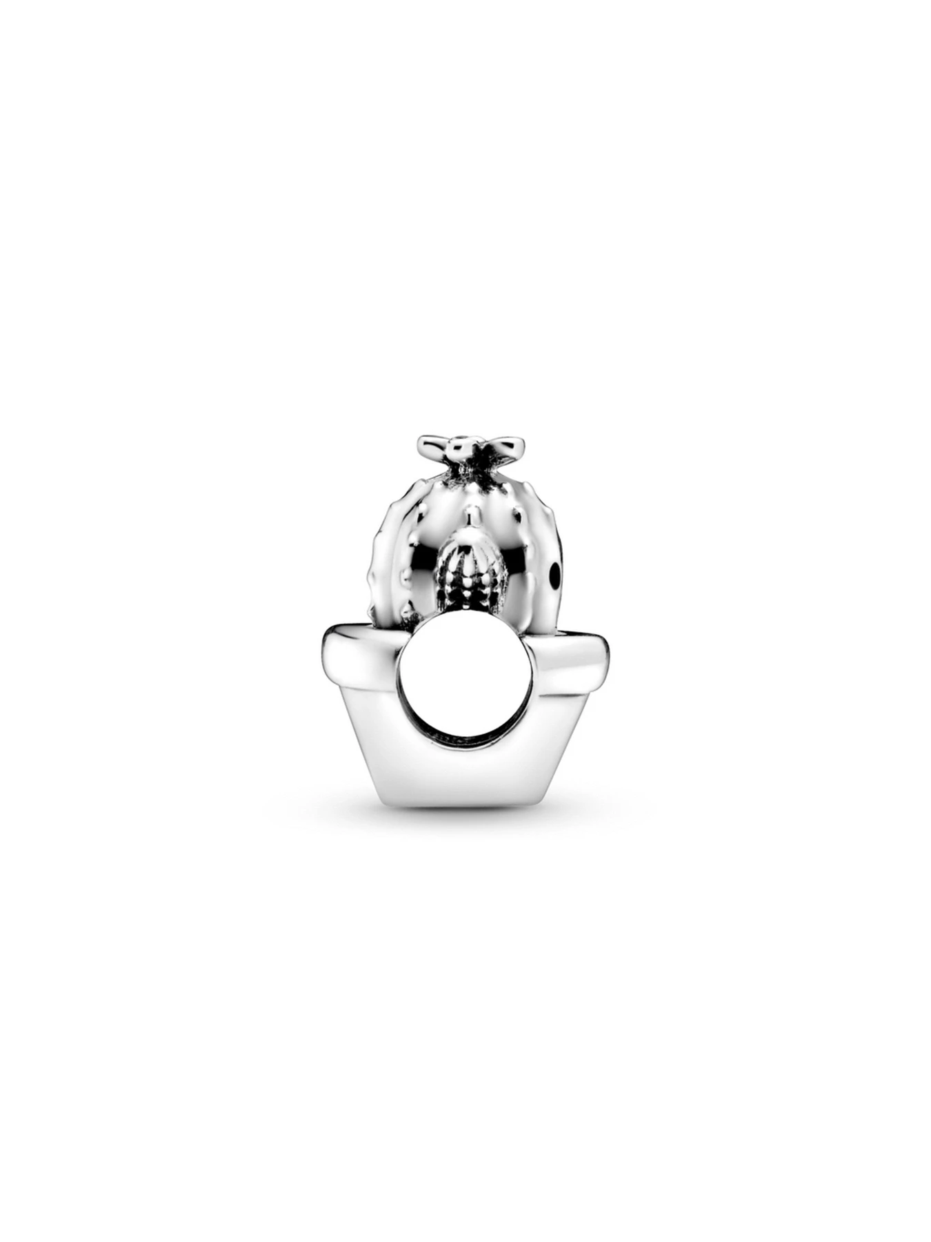 Классические PANDORA Moments модель 798786C01 Фото