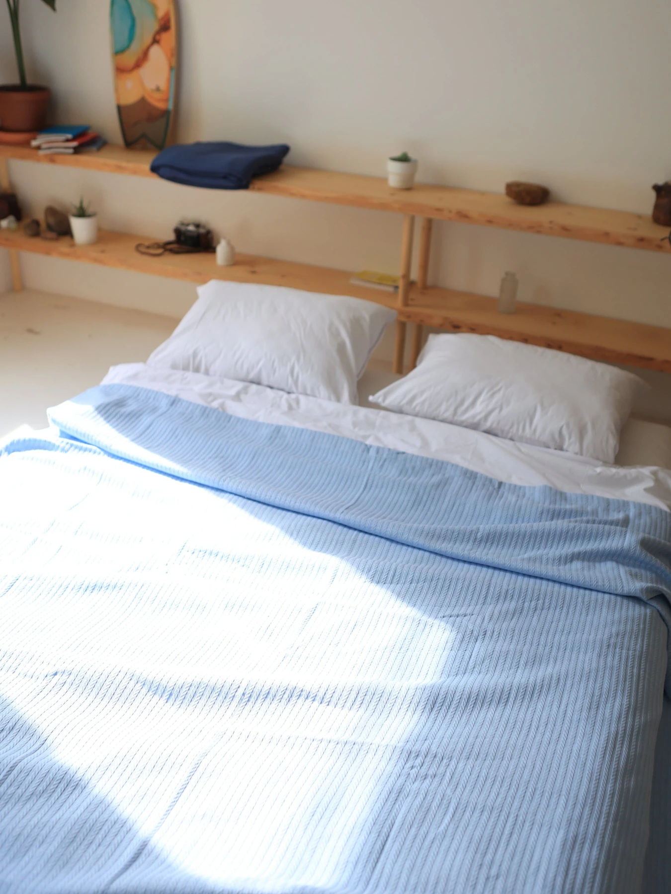 Хлопковое одеяло Колос цвет Голубой BedclozZzes модель 8575-2 Хлопковое одеяло Колос цвет Голубой BedclozZzes модель 8575-2 Фото