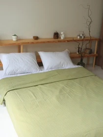 Бавовняне покривало плед Колос колір Оливковий BedclozZzes модель 11362 Фото