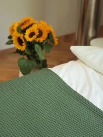 Бавовняне покривало плед Точка колір Зелений BedclozZzes модель 13901 Фото