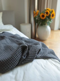 Хлопковое одеяло Точка цвет Серый BedclozZzes модель 13904 Фото