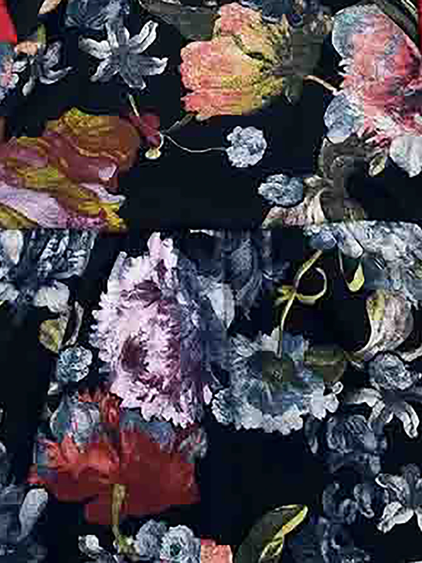 Одяг для немовлят Dexter’s модель FlowerDarkBlueBDSTDXT Фото