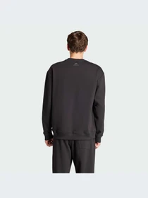 Худи и свитшоты Adidas модель IW1190 Фото