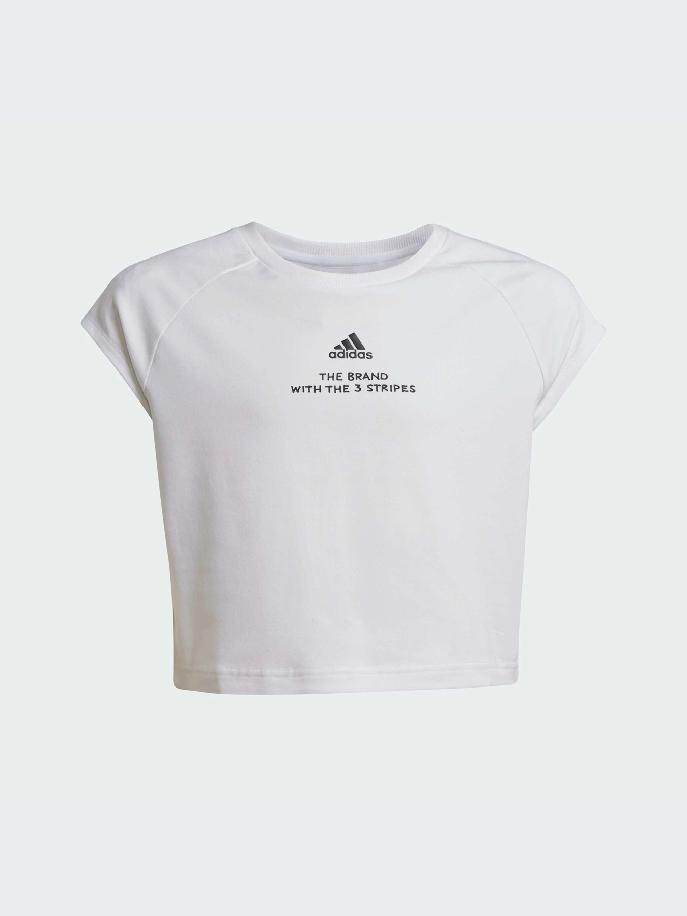Футболки и поло Adidas модель IV9423 Футболки и поло Adidas модель IV9423 Фото