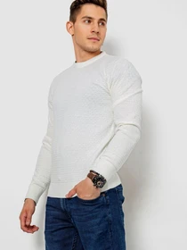 Свитры и кардиганы Ager модель У-1130617::000000014 Фото