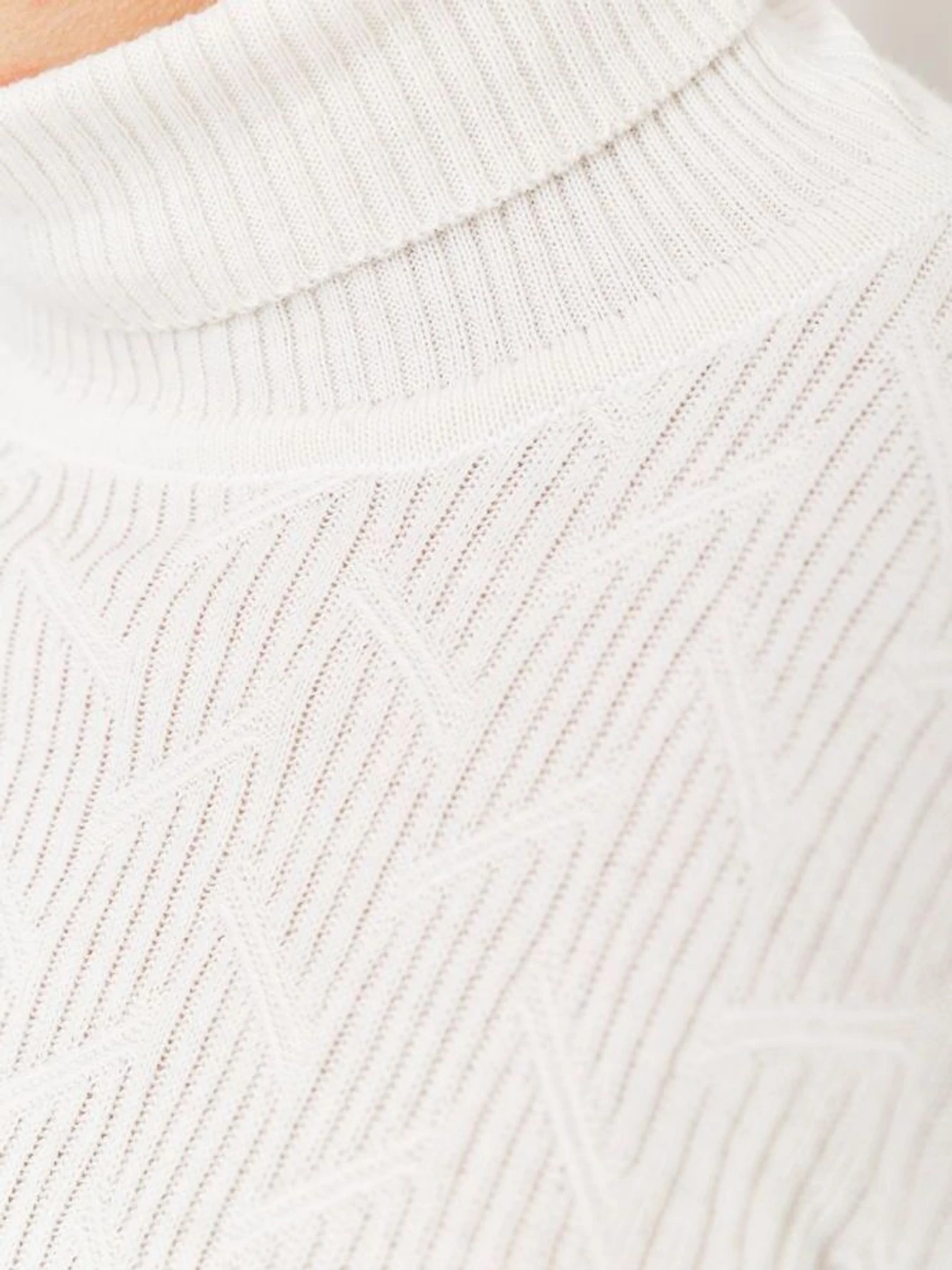 Свитры и кардиганы Ager модель У-1121398::000000060 Фото