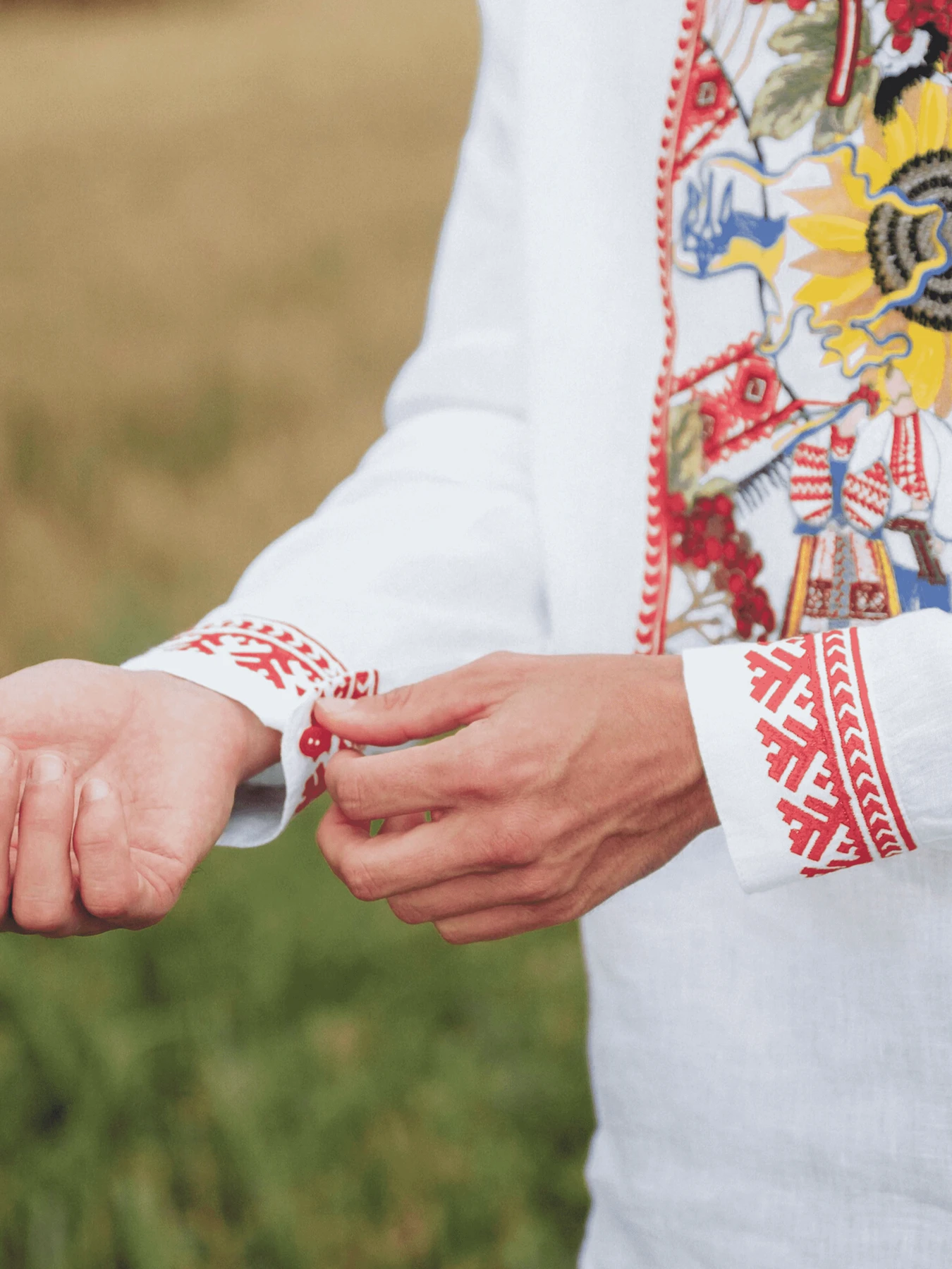 Вишиванки Едельвіка модель 145-24-00 Вишиванки Едельвіка модель 145-24-00 Фото