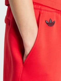 Шорты Adidas модель IS2828 Фото