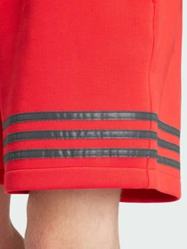 Шорты Adidas модель IS2828 Фото