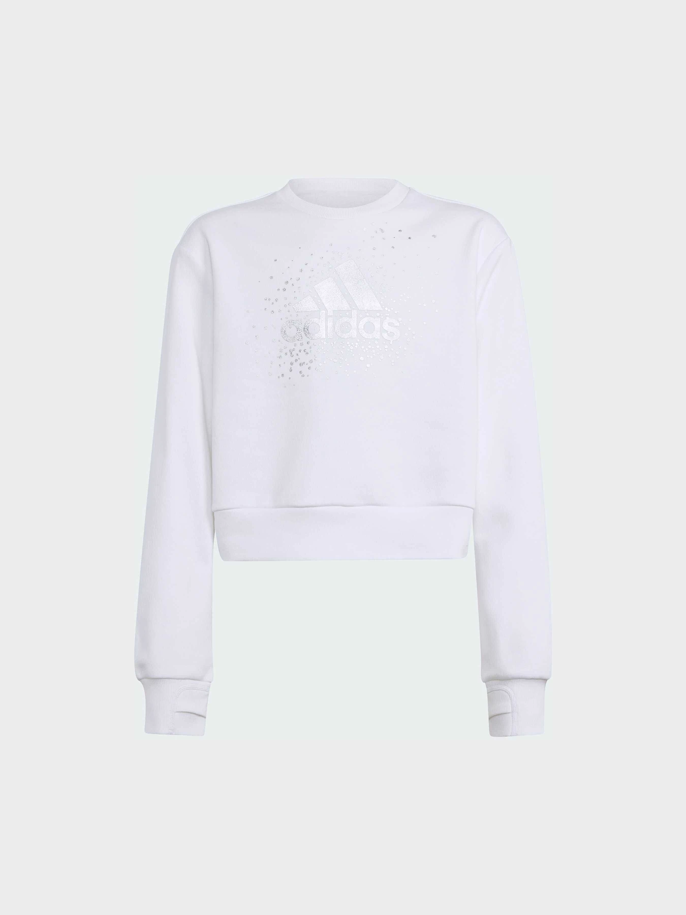Худи и свитшоты Adidas модель IX9330 Фото