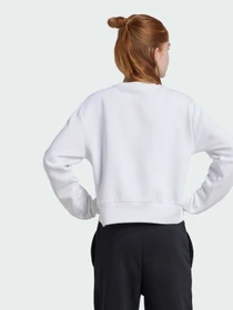 Худи и свитшоты Adidas модель IX9330 Фото