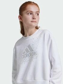 Худи и свитшоты Adidas модель IX9330 Фото