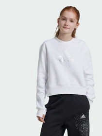 Худи и свитшоты Adidas модель IX9330 Фото