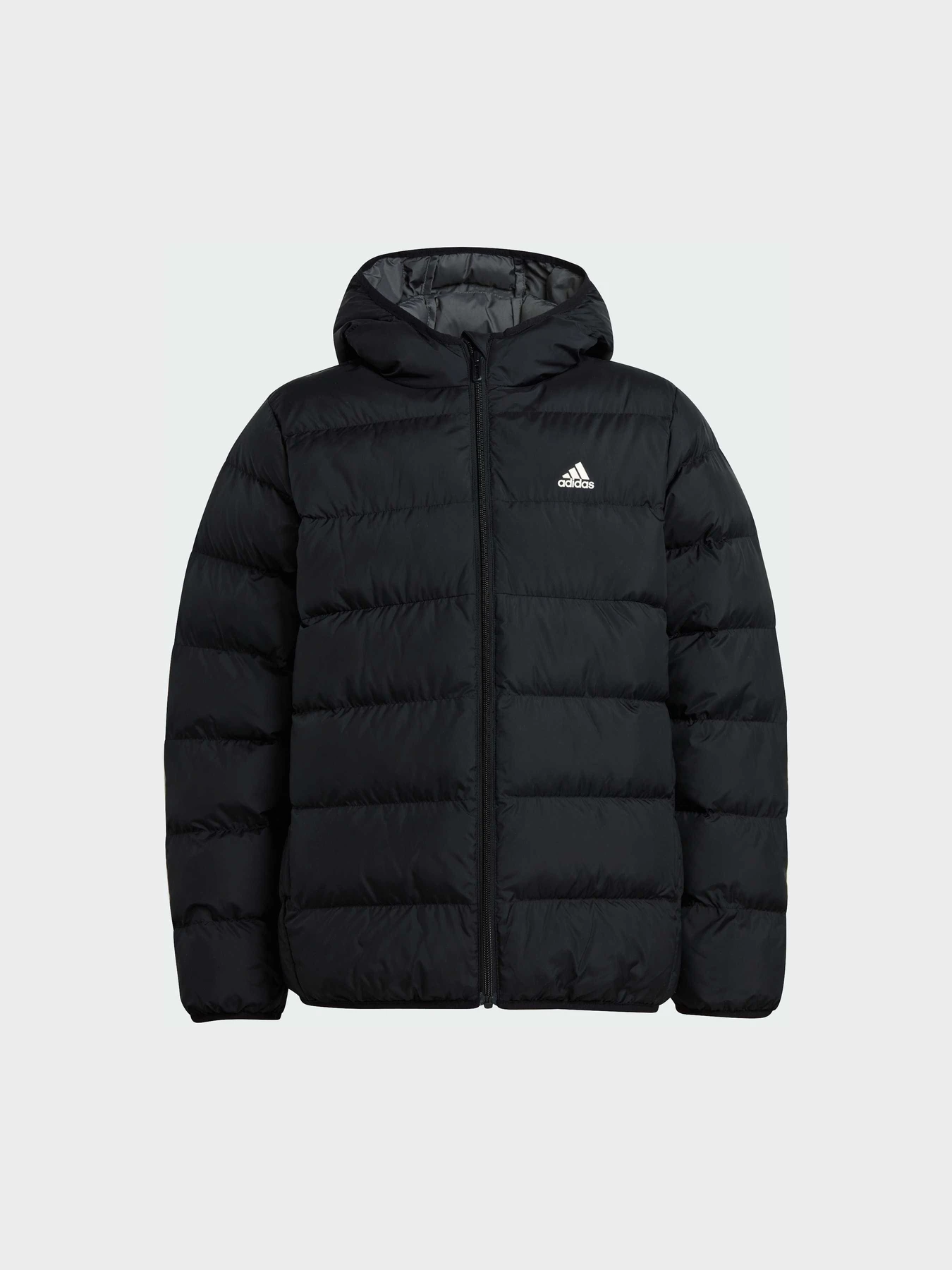 Куртки и дубленки Adidas модель IV9505 Фото