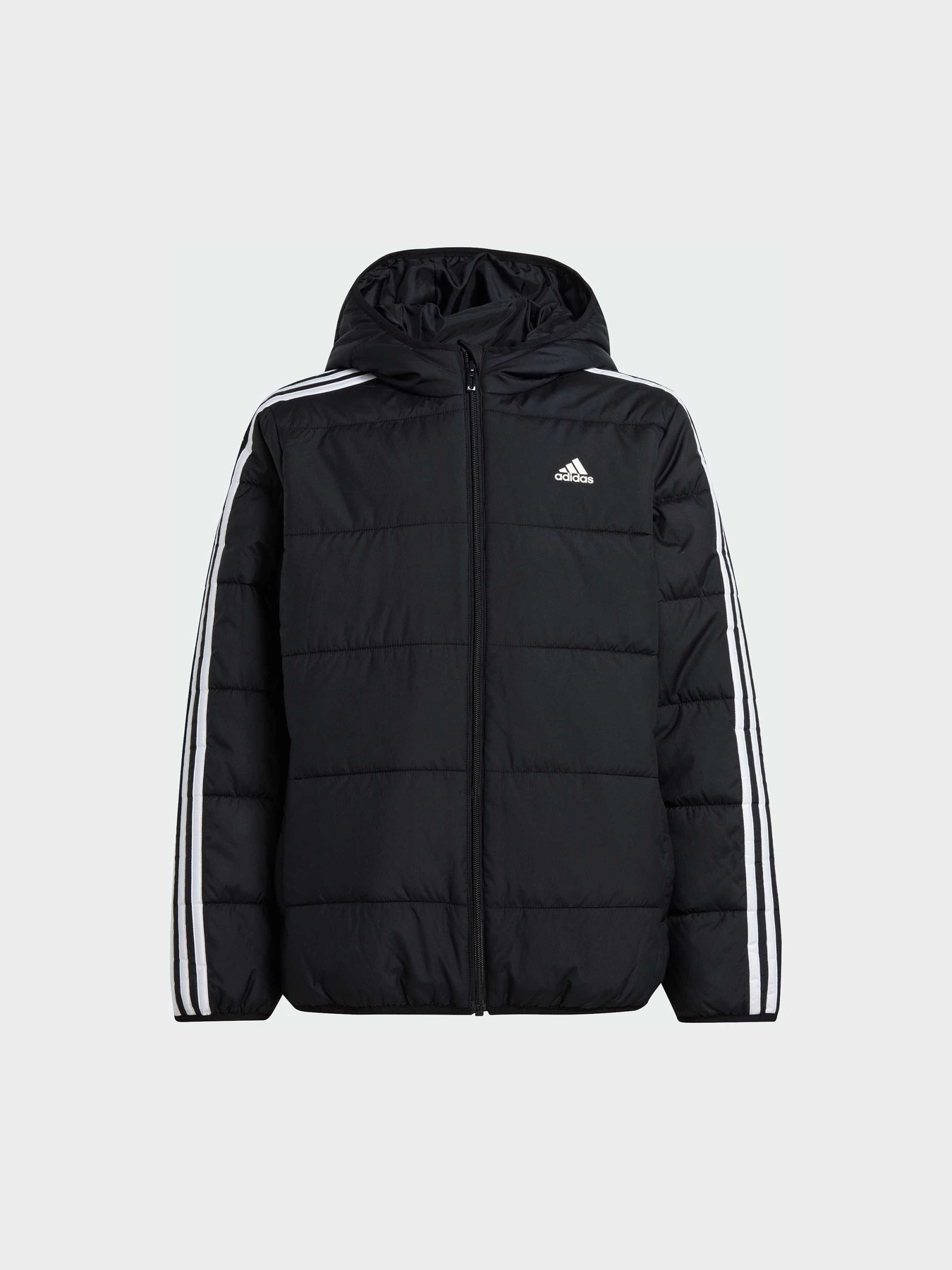 Куртки и дубленки Adidas модель IV9512 Куртки и дубленки Adidas модель IV9512 Фото