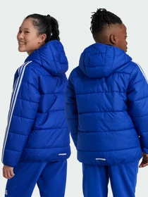 Куртки та дублянки Adidas модель IW0543 Фото