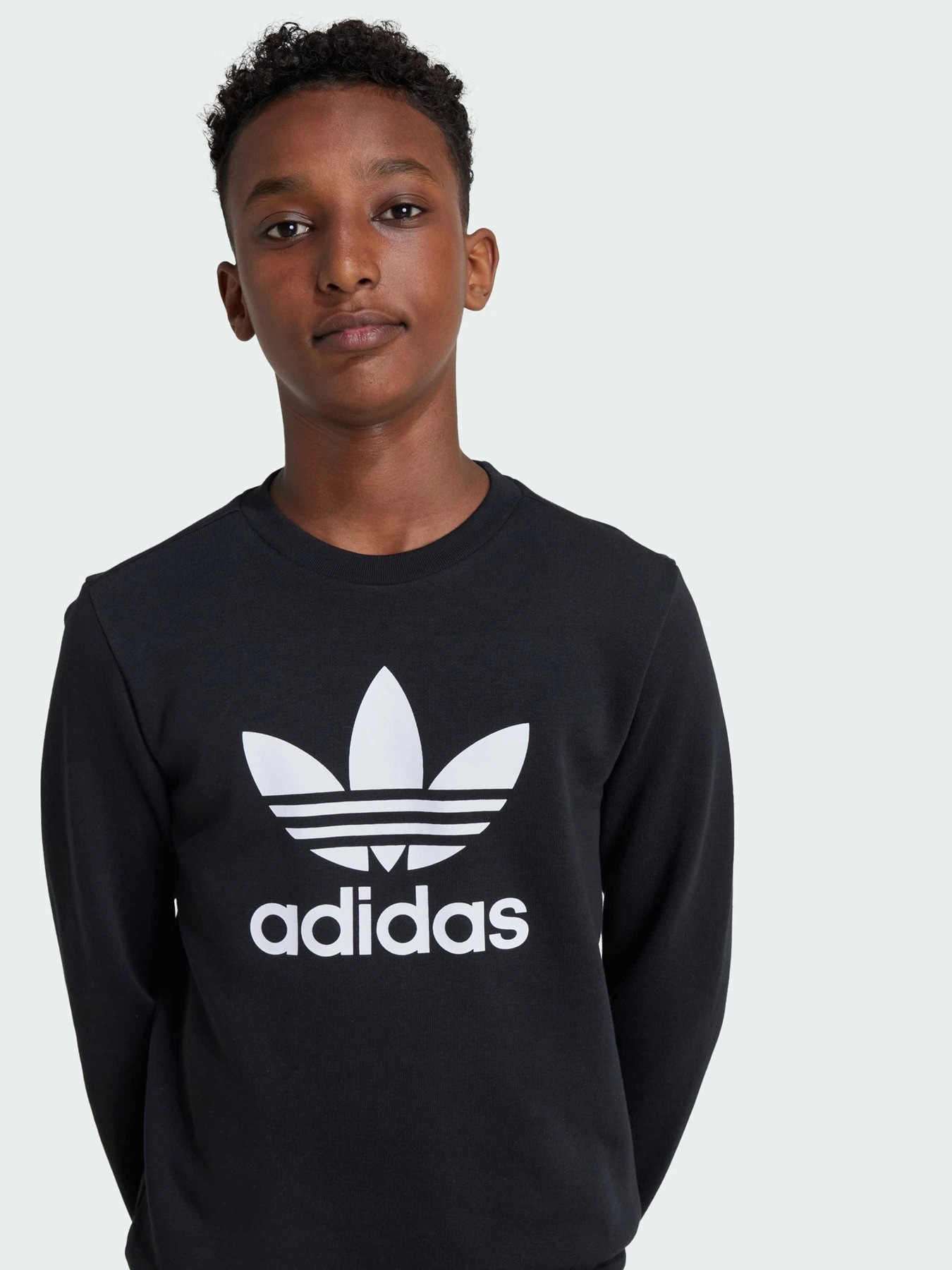 Худи и свитшоты Adidas Adicolor модель IY7435 Фото