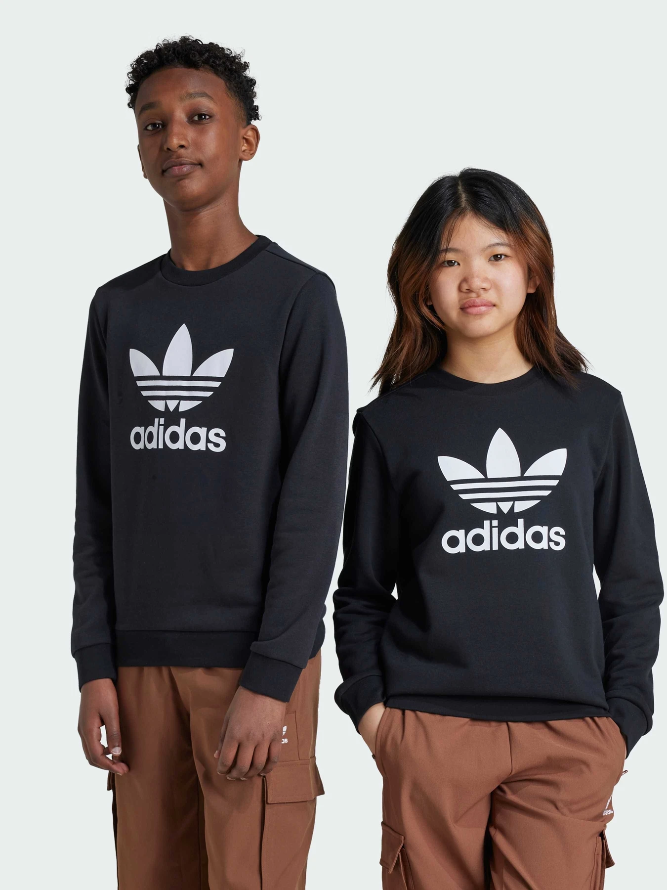 Худи и свитшоты Adidas Adicolor модель IY7435 Фото