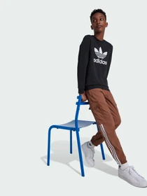 Худи и свитшоты Adidas Adicolor модель IY7435 Фото