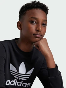 Худи и свитшоты Adidas Adicolor модель IY7435 Фото