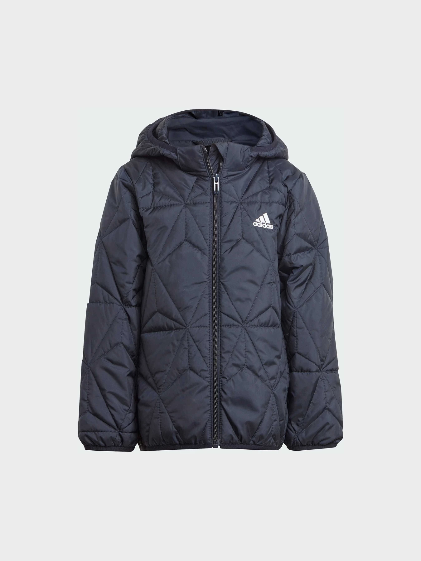 Куртки та дублянки Adidas модель JF4346 Фото