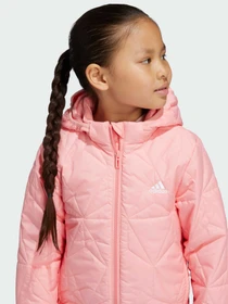 Куртки и дубленки Adidas модель JF4345 Фото