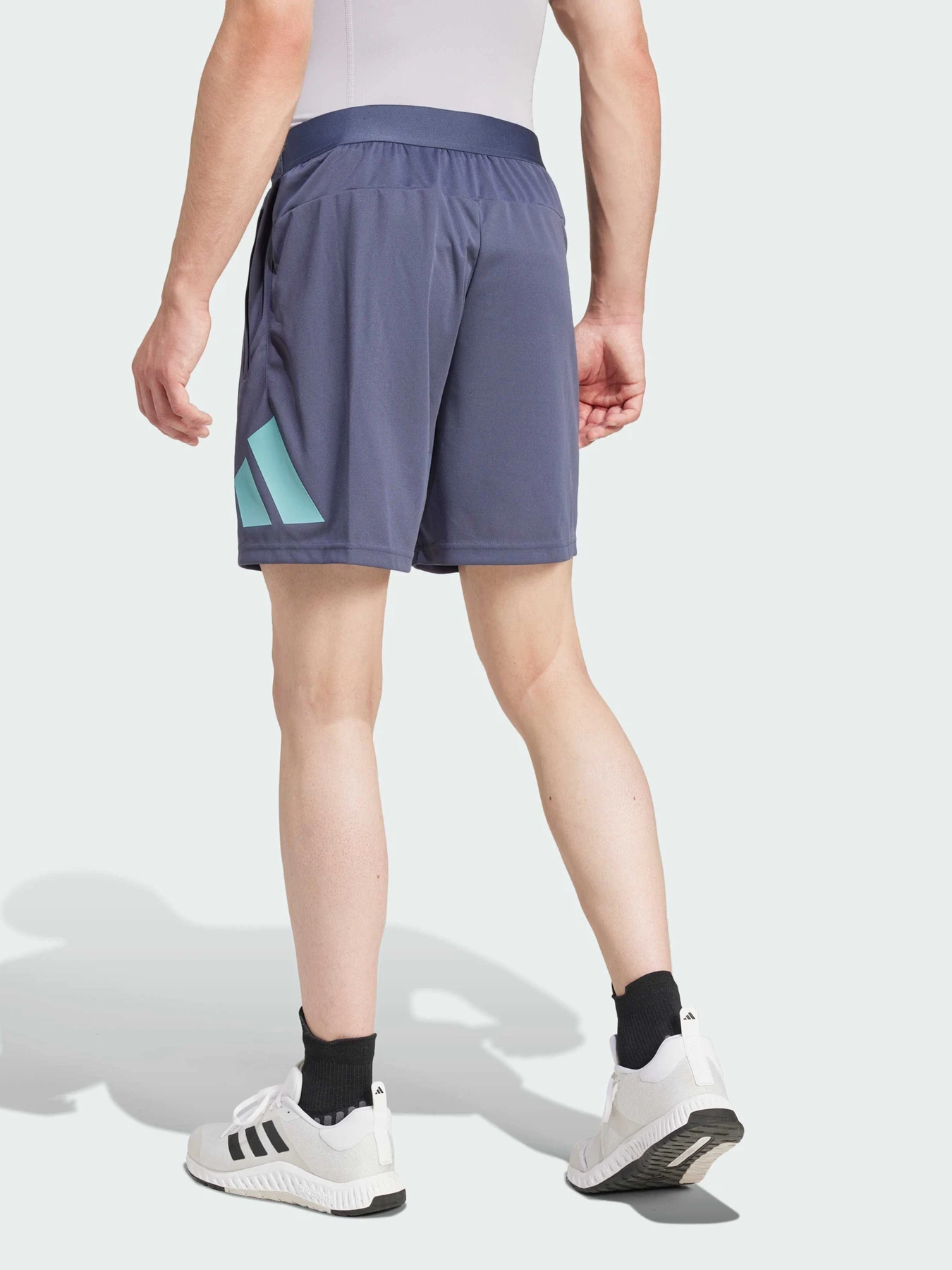 Шорты Adidas модель IW3410 Фото