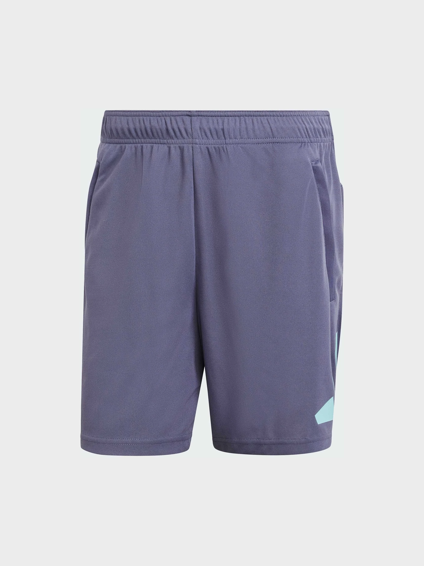 Шорты Adidas модель IW3410 Фото