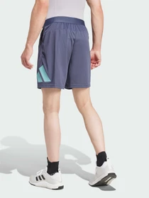 Шорты Adidas модель IW3410 Фото