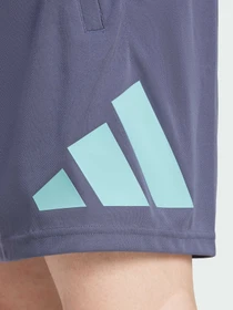 Шорты Adidas модель IW3410 Фото