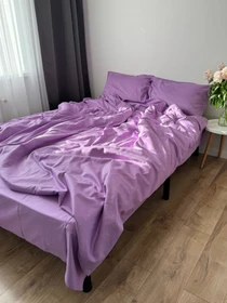 Комплект постільної білизни класичний бузок Cozy модель 9477637 Фото