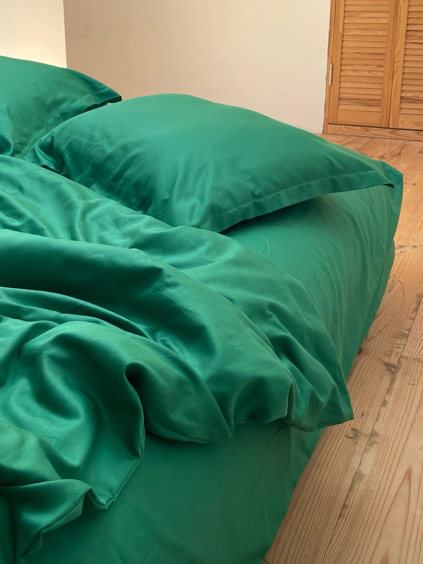 Комплект постільної білизни класичний зелений Cozy модель 9945733 Фото